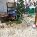 OLMA_2011_web_0017