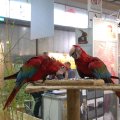 OLMA_2011_web_0018