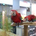 OLMA_2011_web_0019