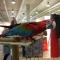 OLMA_2011_web_0020