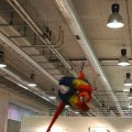 OLMA_2011_web_0021