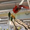 OLMA_2011_web_0023