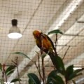 OLMA_2011_web_0028