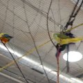OLMA_2011_web_0029