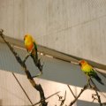 OLMA_2011_web_0036