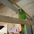 OLMA_2011_web_0037