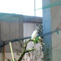 OLMA_2011_web_0041