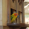 OLMA_2011_web_0042