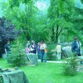 DSC00778_jpg