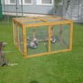 Jungtierschau 2007 001_jpg
