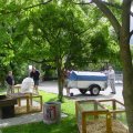 Jungtierschau 2007 004_jpg