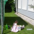 Jungtierschau 2007 009_jpg