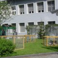 Jungtierschau 2007 016_jpg