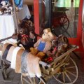 Jungtierschau 2007 018_jpg