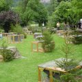 Jungtierschau 2007 027_jpg