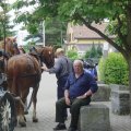 Jungtierschau 2007 029_jpg