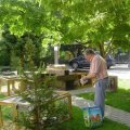 Jungtierschau 2007 065_jpg