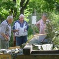 Jungtierschau 2007 071_jpg