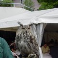 Jungtierschau 2007 094_jpg