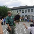 Jungtierschau 2007 099_jpg