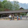 Jungtierschau 2008 006
