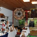 Jungtierschau 2008 017