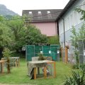 Jungtierschau 2008 018