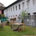 Jungtierschau 2008 020