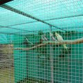 Jungtierschau 2008 024