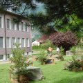 Jungtierschau 2008 026