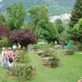 Jungtierschau+2008+027