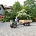 Jungtierschau_2009_web_0001