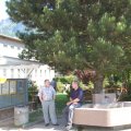 Jungtierschau_2009_web_0027
