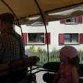 Jungtierschau_2009_web_0048