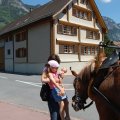 Jungtierschau_2009_web_0051