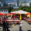 Jungtierschau_2009_web_0066