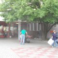 Jungtierschau_2009_web_0073