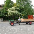 Jungtierschau_2009_web_0098