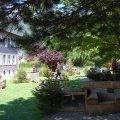 Jungtierschau_2009_web_0118