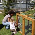 Jungtierschau_2009_web_0119