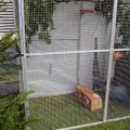 Jungtierschau_2009_web_0120