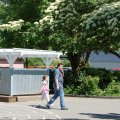 Jungtierschau_2009_web_0126