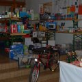 Jungtierschau_2009_web_0133