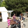 Jungtierschau_2009_web_0140