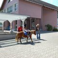 Jungtierschau_2009_web_0145