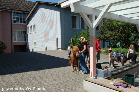 twg_slideshow