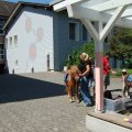 Jungtierschau_2009_web_0146