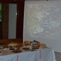 Jungtierschau+2010+016_JPG