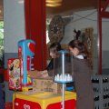Jungtierschau+2010+031_JPG