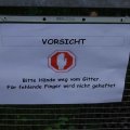 Jungtierschau+2010+032_JPG